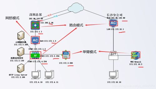 解释清楚常见网络设备的部署模式及优缺点