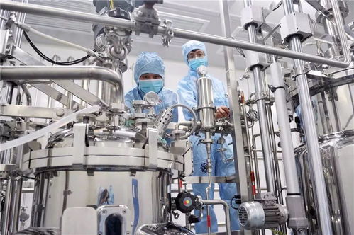 2019,值得期待,看看宁波杭州湾新区有哪些 灰犀牛 黑天鹅