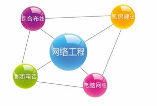 网络工程