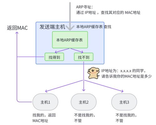 网络通信 网络设备及相关技术