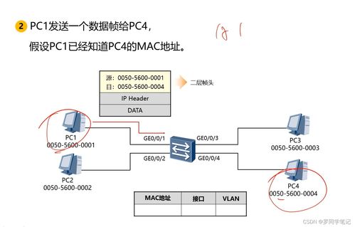 网络互联设备